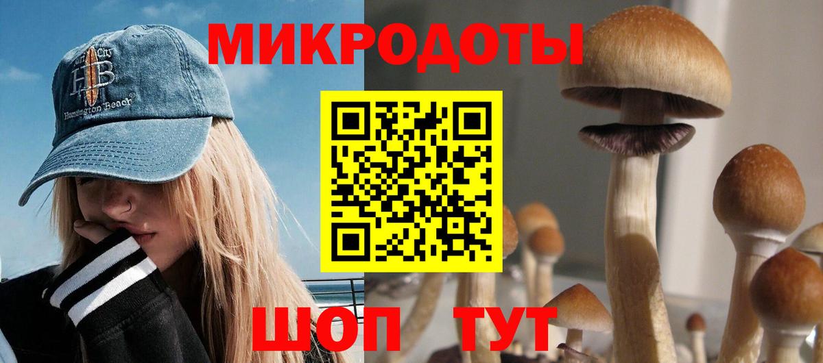 Галлюциногенные грибы мицелий  купить наркотик  Сальск  Вход с VPN 
